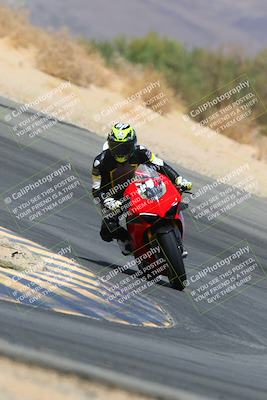 media/Apr-10-2022-SoCal Trackdays (Sun) [[f104b12566]]/Turn 10 (1pm)/